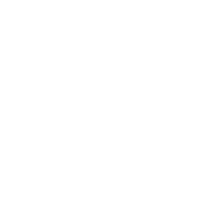 NF.logo.white